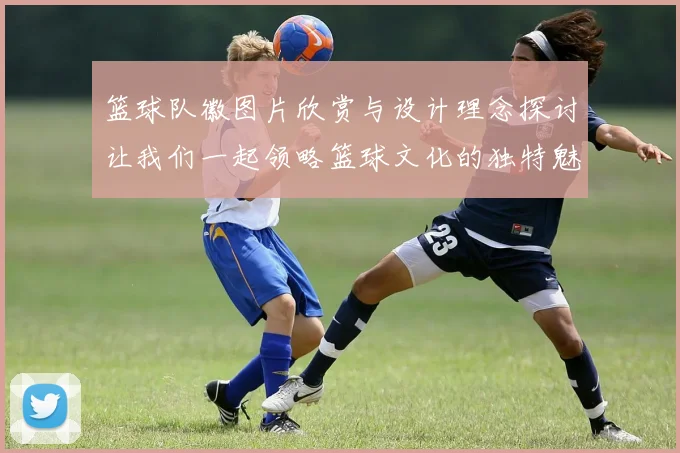 篮球队徽图片欣赏与设计理念探讨让我们一起领略篮球文化的独特魅力