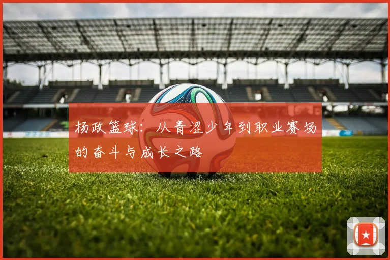 杨政篮球：从青涩少年到职业赛场的奋斗与成长之路