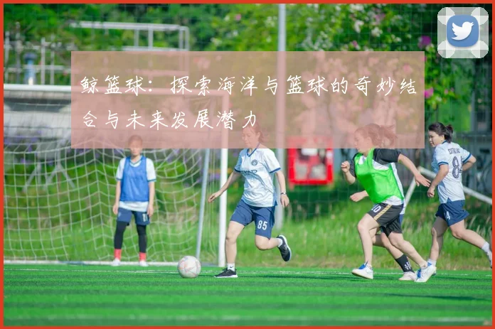 鲸篮球：探索海洋与篮球的奇妙结合与未来发展潜力
