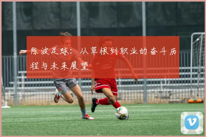 陈波足球：从草根到职业的奋斗历程与未来展望