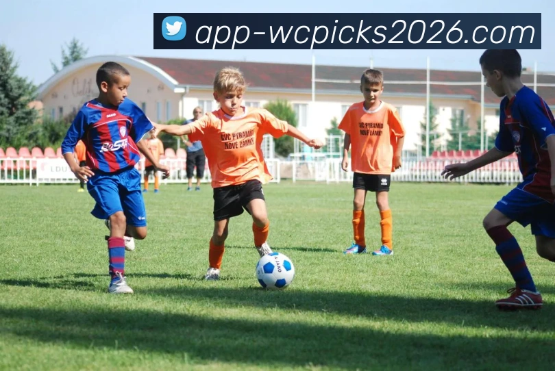 鲸篮球：探索海洋与篮球的奇妙结合与未来发展潜力